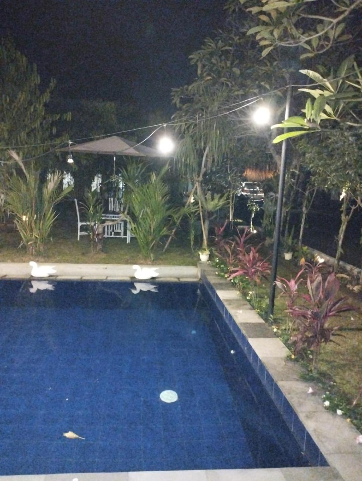Apartament Puri Amartha Ubud Zewnętrze zdjęcie