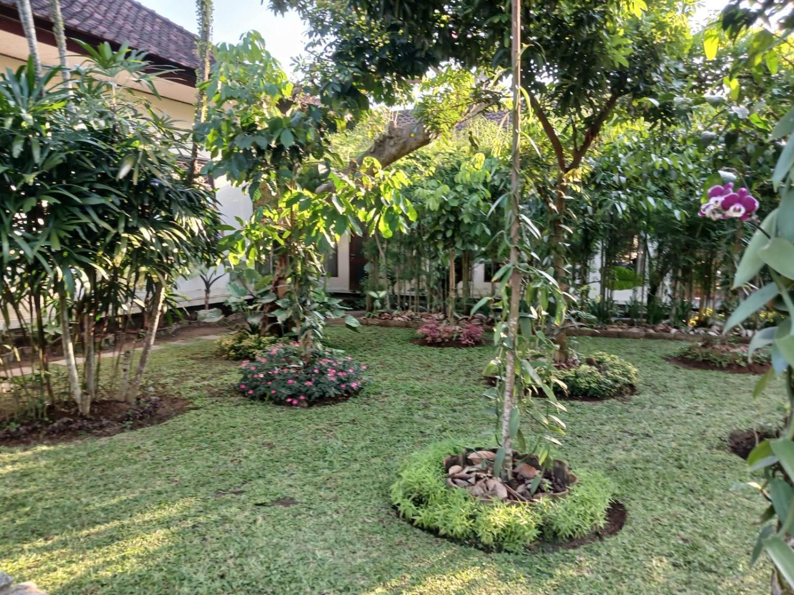 Apartament Puri Amartha Ubud Zewnętrze zdjęcie