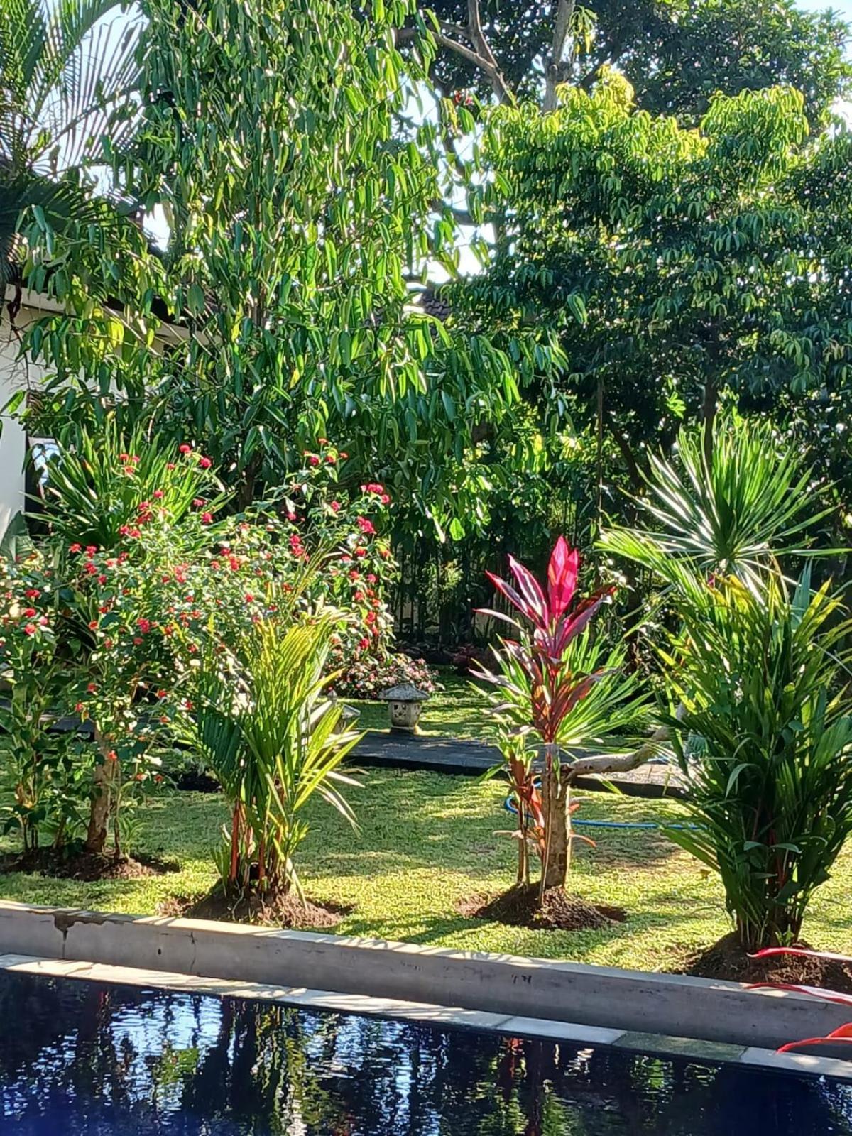 Apartament Puri Amartha Ubud Zewnętrze zdjęcie