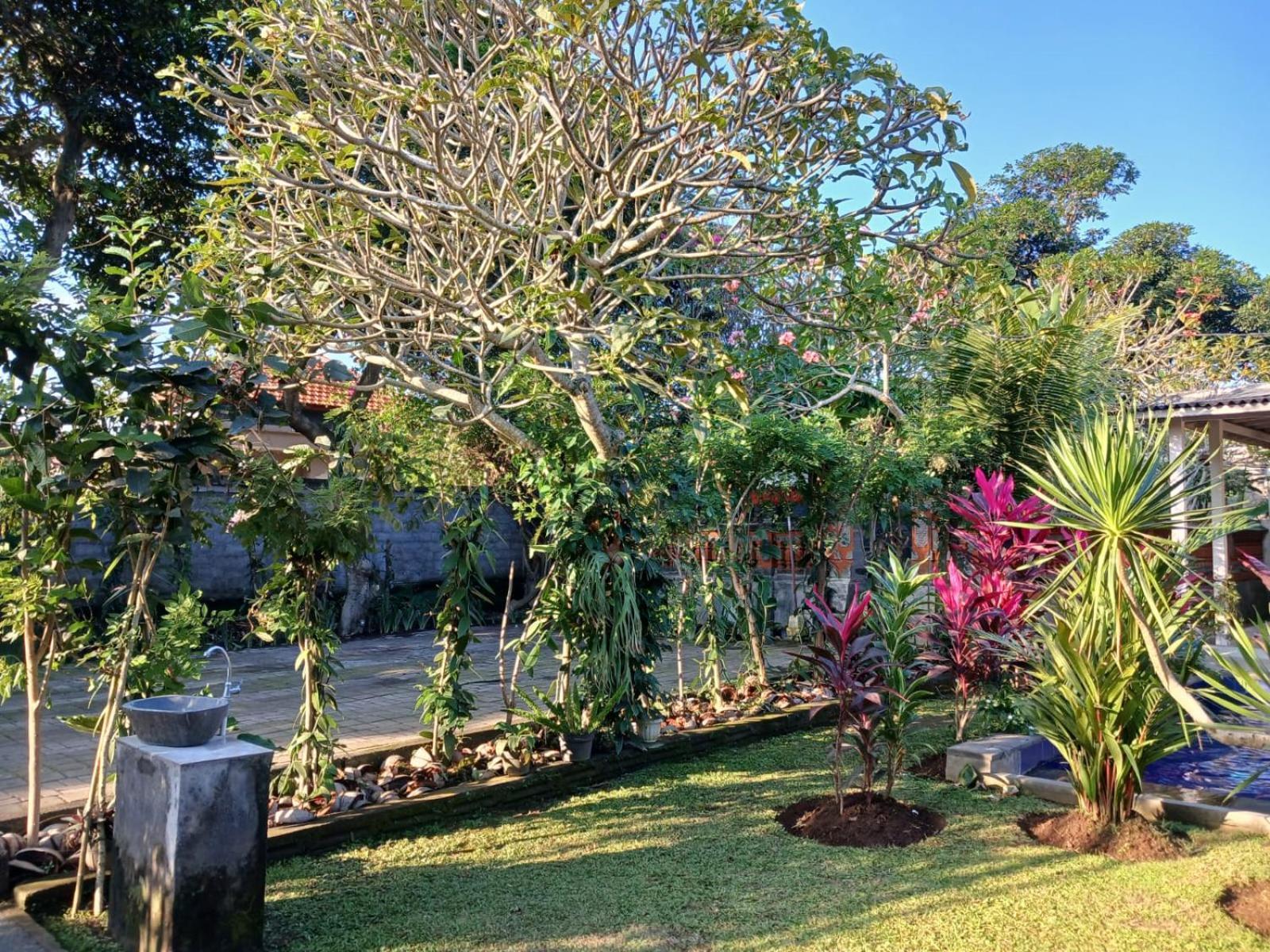 Apartament Puri Amartha Ubud Zewnętrze zdjęcie