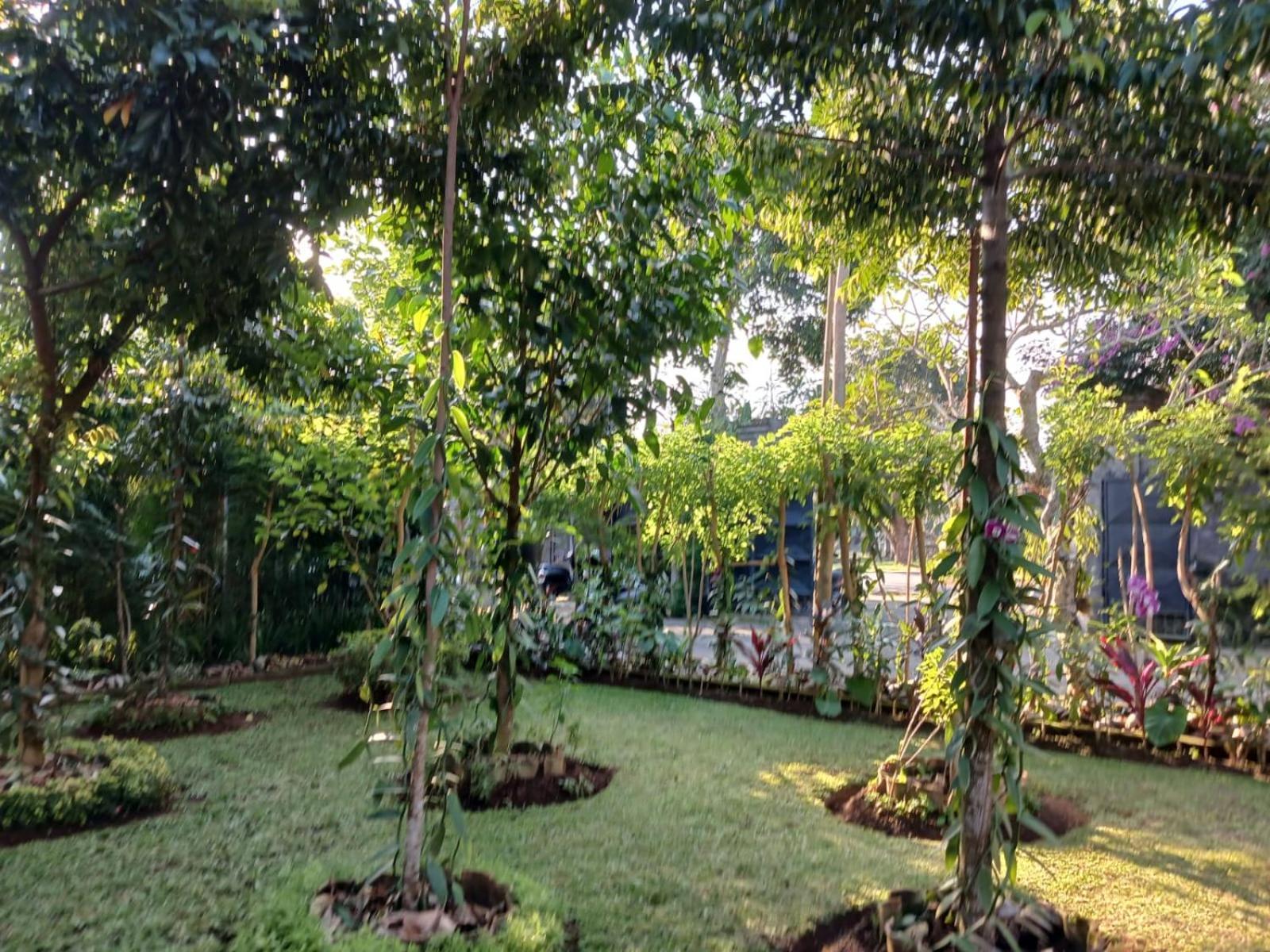 Apartament Puri Amartha Ubud Zewnętrze zdjęcie